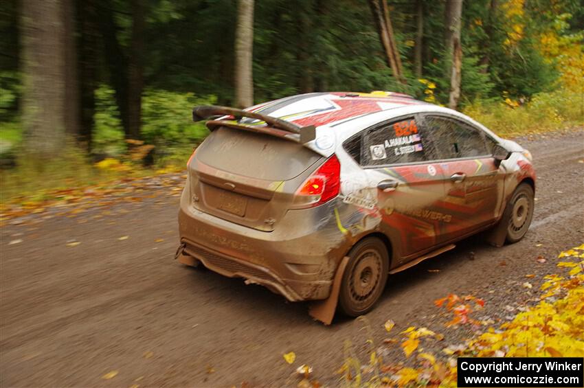 Cameron Steely / Alix Hakala Ford Fiesta ST on SS3, Bob Lake I.