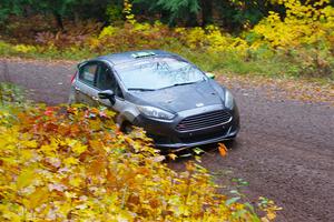 Paul Dickinson / Dylan Whittaker Ford Fiesta on SS3, Bob Lake I.