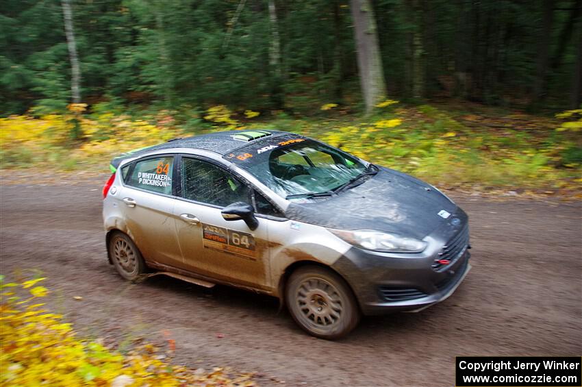 Paul Dickinson / Dylan Whittaker Ford Fiesta on SS3, Bob Lake I.