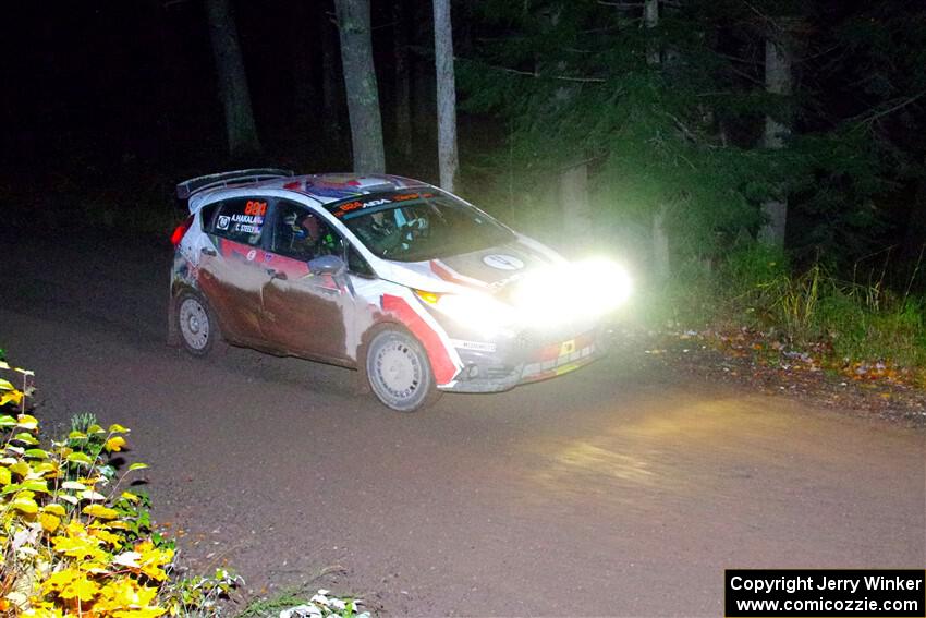 Cameron Steely / Alix Hakala Ford Fiesta ST on SS7, Bob Lake II.