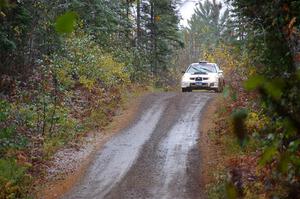 Pete Schaefer / Kevin Dobrowolski Subaru Impreza 2.5i on SS9, Nestoria-Herman.