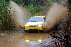 Drake Willis / Forrest Wilde Ford Focus on SS9, Nestoria-Herman.