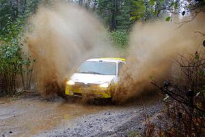 Drake Willis / Forrest Wilde Ford Focus on SS9, Nestoria-Herman.