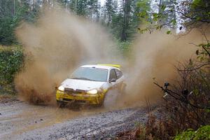 Drake Willis / Forrest Wilde Ford Focus on SS9, Nestoria-Herman.