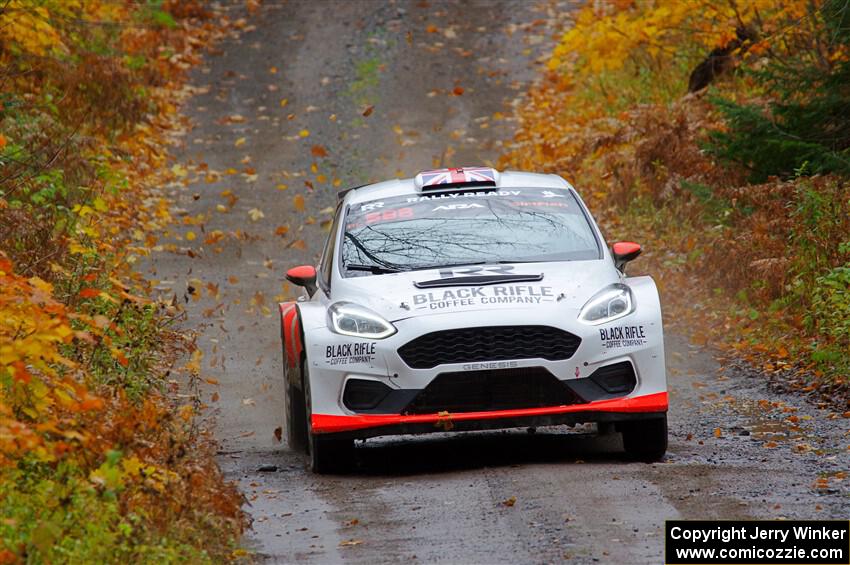 Tom Williams / Ross Whittock Ford Fiesta Rally2 on SS12, Trouble I.