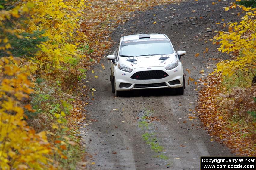 Nick Allen / Alison LaRoza Ford Fiesta ST on SS12, Trouble I.