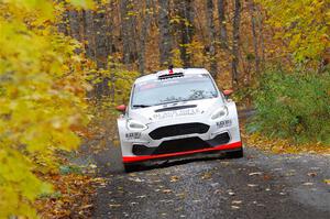 Tom Williams / Ross Whittock Ford Fiesta Rally2 on SS14, Trouble II.