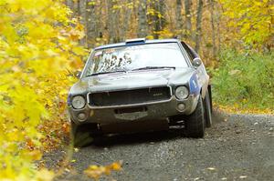 Tim O'Neil / Glen Ray AMC AMX on SS14, Trouble II.