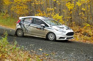 Nick Allen / Alison LaRoza Ford Fiesta ST on SS14, Trouble II.