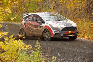 Cameron Steely / Alix Hakala Ford Fiesta ST on SS14, Trouble II.