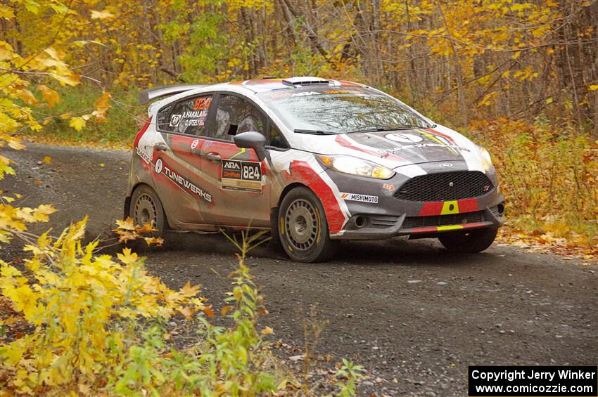 Cameron Steely / Alix Hakala Ford Fiesta ST on SS14, Trouble II.