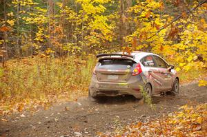 Cameron Steely / Alix Hakala Ford Fiesta ST on SS14, Trouble II.