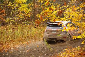 Cameron Steely / Alix Hakala Ford Fiesta ST on SS14, Trouble II.