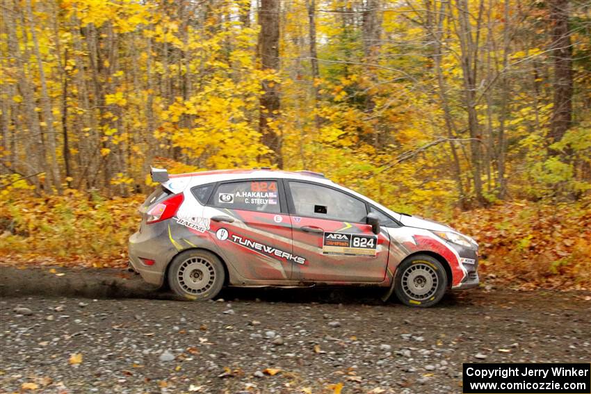 Cameron Steely / Alix Hakala Ford Fiesta ST on SS14, Trouble II.