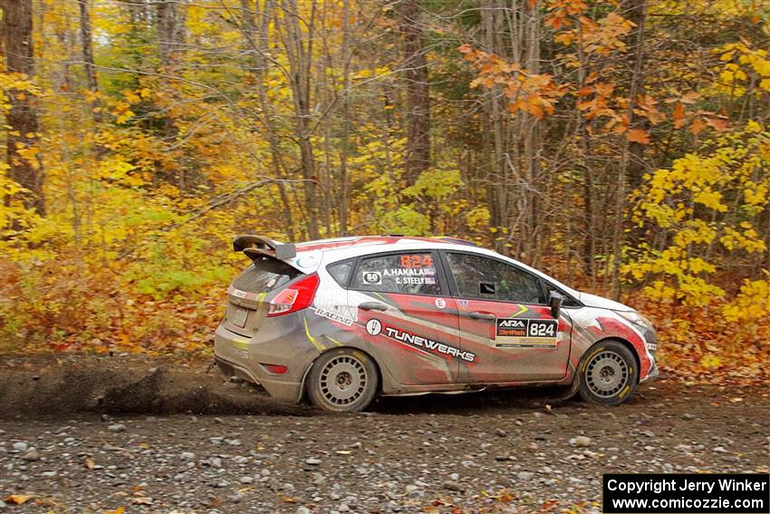 Cameron Steely / Alix Hakala Ford Fiesta ST on SS14, Trouble II.