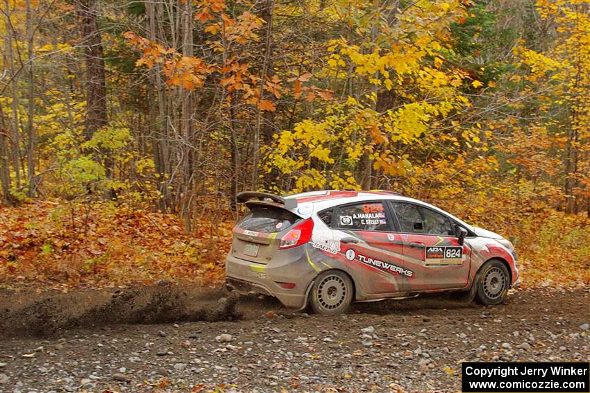 Cameron Steely / Alix Hakala Ford Fiesta ST on SS14, Trouble II.