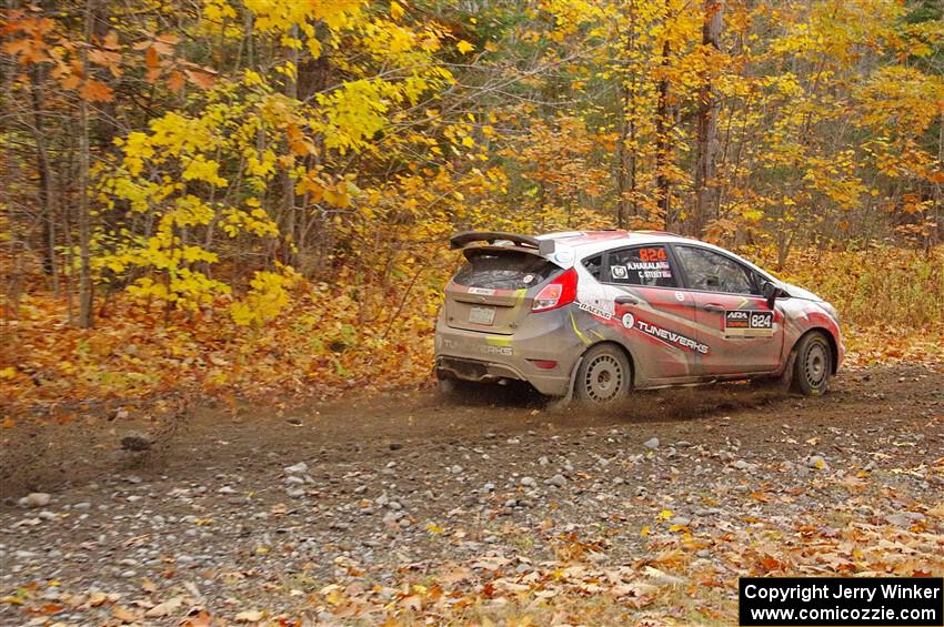 Cameron Steely / Alix Hakala Ford Fiesta ST on SS14, Trouble II.