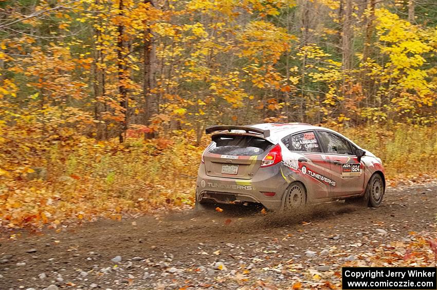 Cameron Steely / Alix Hakala Ford Fiesta ST on SS14, Trouble II.