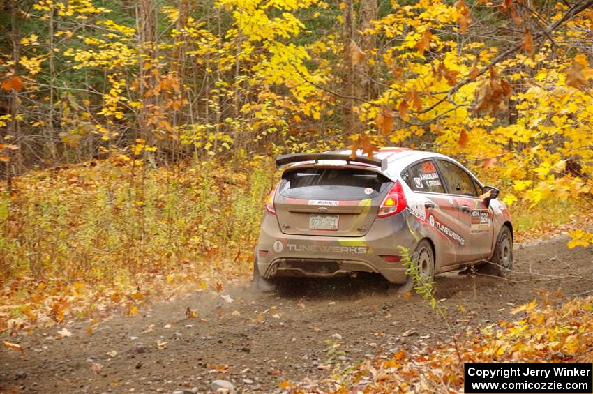 Cameron Steely / Alix Hakala Ford Fiesta ST on SS14, Trouble II.