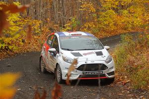 Roberto Yglesias / Bryce Proseus Ford Fiesta ST on SS14, Trouble II.