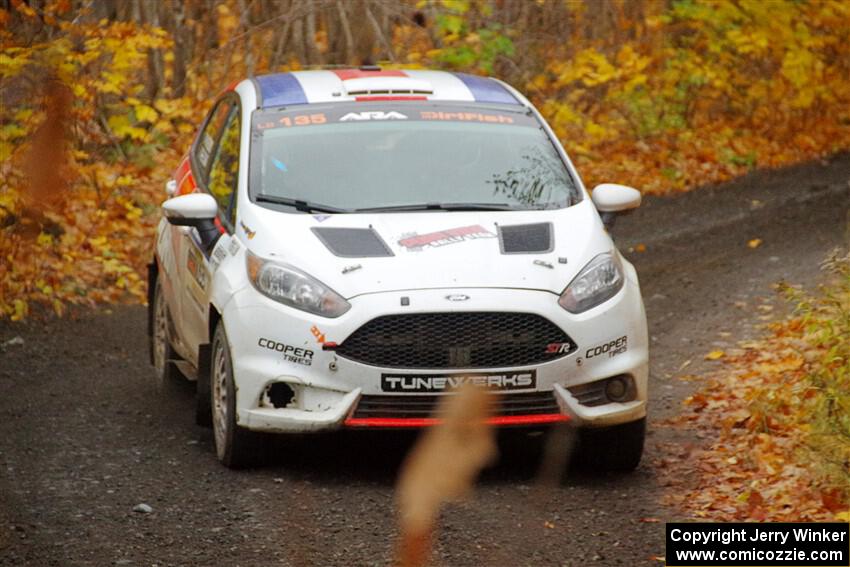 Roberto Yglesias / Bryce Proseus Ford Fiesta ST on SS14, Trouble II.