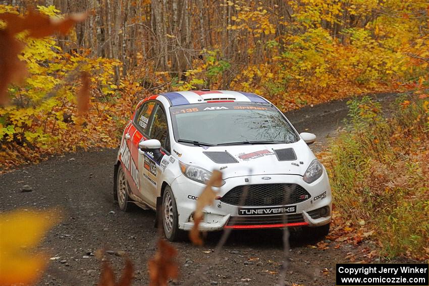 Roberto Yglesias / Bryce Proseus Ford Fiesta ST on SS14, Trouble II.