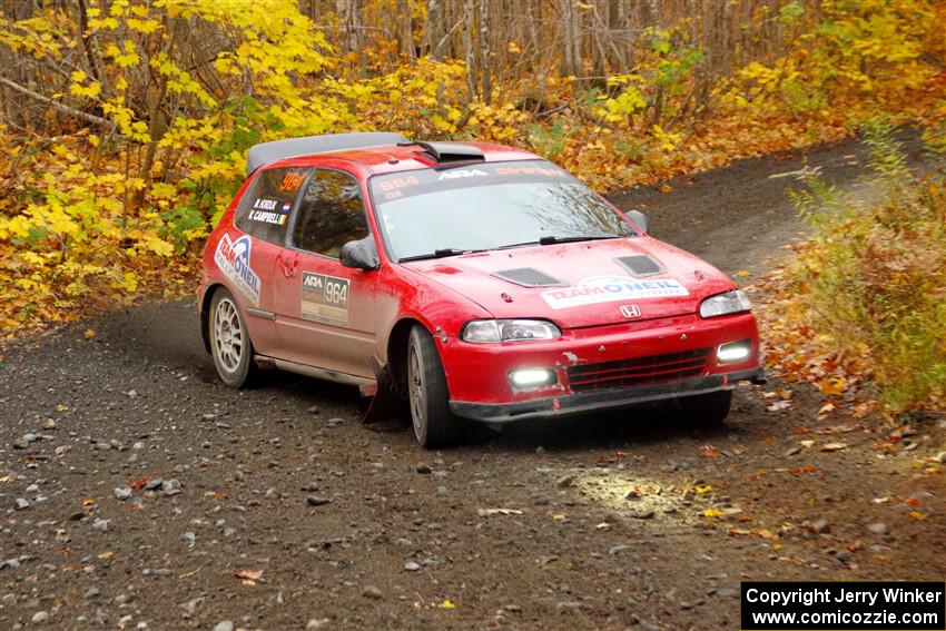 Vivian Campbell / Michael Hordijk Honda Civic on SS14, Trouble II.