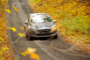 Paul Dickinson / Dylan Whittaker Ford Fiesta on SS14, Trouble II.