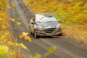 Paul Dickinson / Dylan Whittaker Ford Fiesta on SS14, Trouble II.