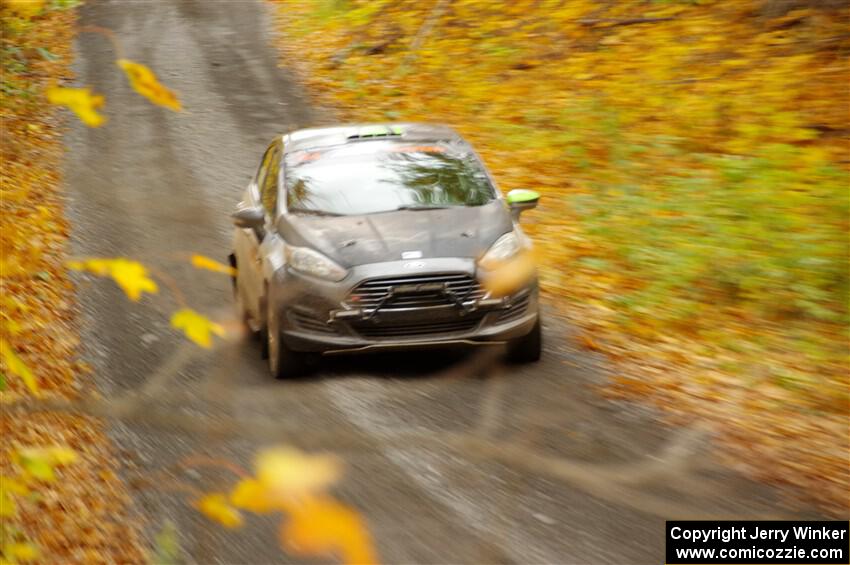 Paul Dickinson / Dylan Whittaker Ford Fiesta on SS14, Trouble II.