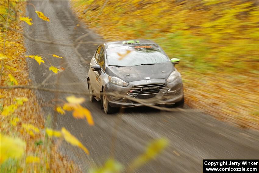 Paul Dickinson / Dylan Whittaker Ford Fiesta on SS14, Trouble II.