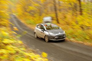 Paul Dickinson / Dylan Whittaker Ford Fiesta on SS14, Trouble II.