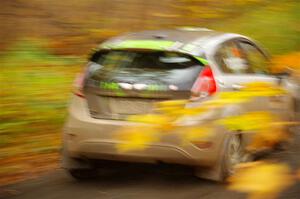 Paul Dickinson / Dylan Whittaker Ford Fiesta on SS14, Trouble II.