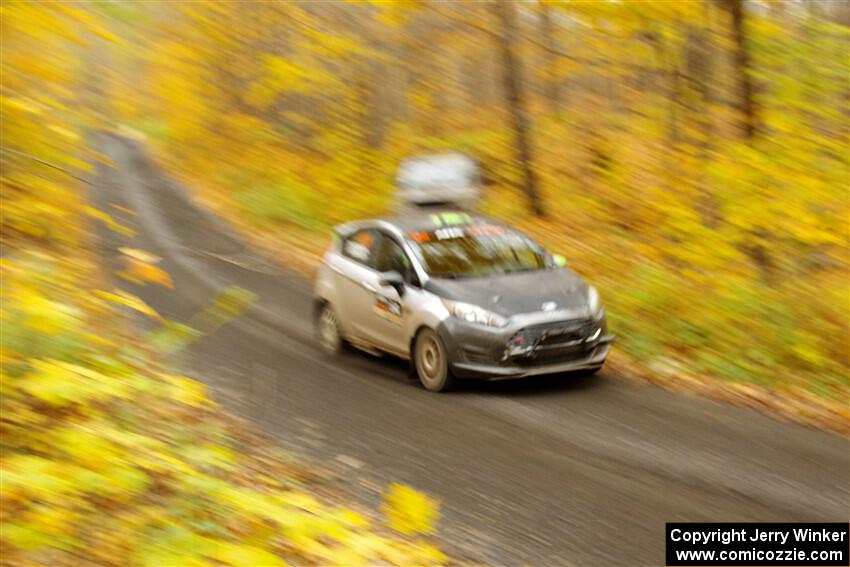 Paul Dickinson / Dylan Whittaker Ford Fiesta on SS14, Trouble II.