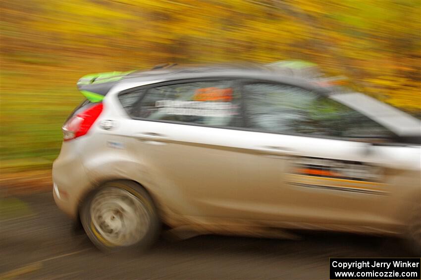 Paul Dickinson / Dylan Whittaker Ford Fiesta on SS14, Trouble II.