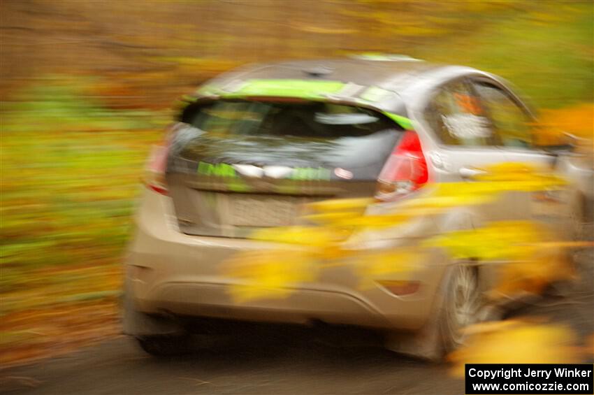 Paul Dickinson / Dylan Whittaker Ford Fiesta on SS14, Trouble II.