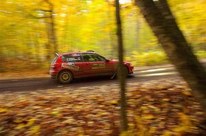 Vivian Campbell / Michael Hordijk Honda Civic on SS15, Mount Marquette.