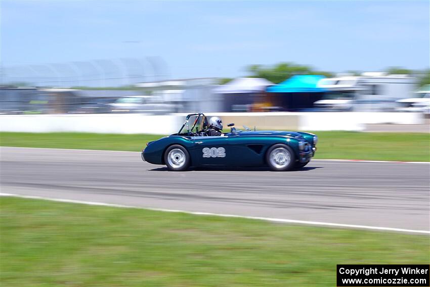 Eileen Wetzel's Austin-Healey 3000