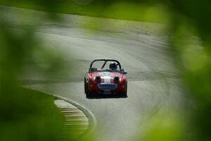 John Daniels, Jr.'s Austin-Healey Sprite