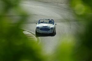 Steve Rixen's Austin Healey 100-6