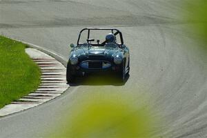 Eileen Wetzel's Austin-Healey 3000