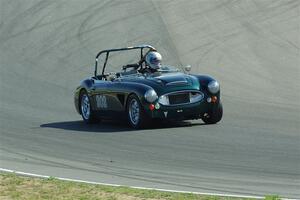 Eileen Wetzel's Austin-Healey 3000