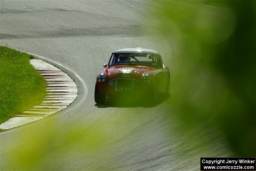 Scott McQueen's Austin-Healey 100-6