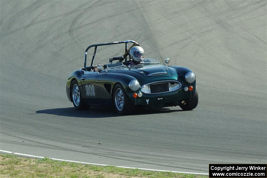 Eileen Wetzel's Austin-Healey 3000