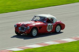 Scott McQueen's Austin-Healey 100-6