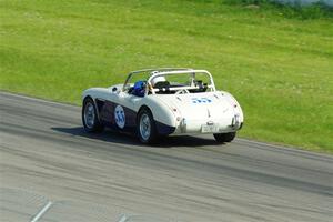 Steve Rixen's Austin Healey 100-6