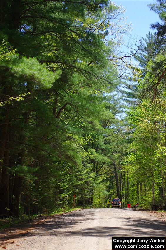 A view of the Paul Bunyan State Forest in mid-May.