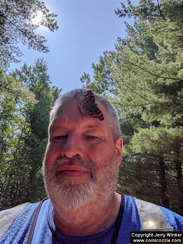 A Compton Tortoiseshell Butterfly lands on the photographer's head.