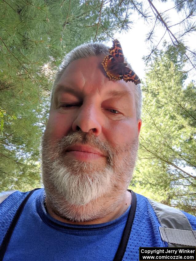 A Compton Tortoiseshell Butterfly lands on the photographer's head.