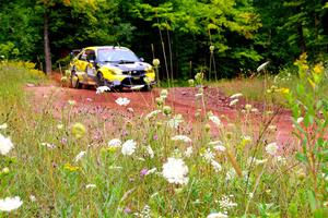 Colin Schulz / Ian Nelson Subaru WRX STi on SS2, Norway South I.